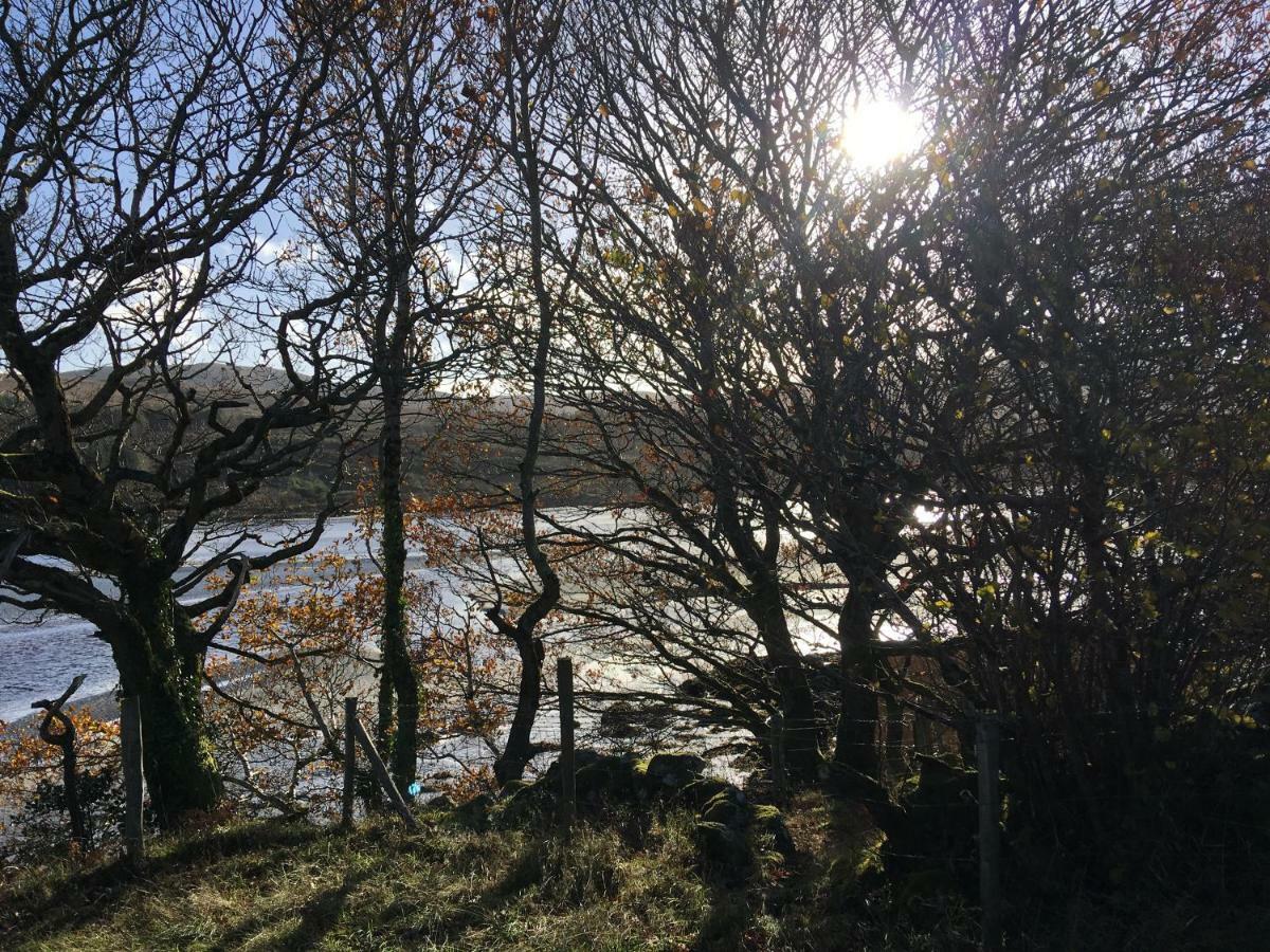 Annie'S River Retreat Doochary Bagian luar foto